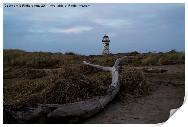  Driftwood and the Lighthouse Print by Richard Auty