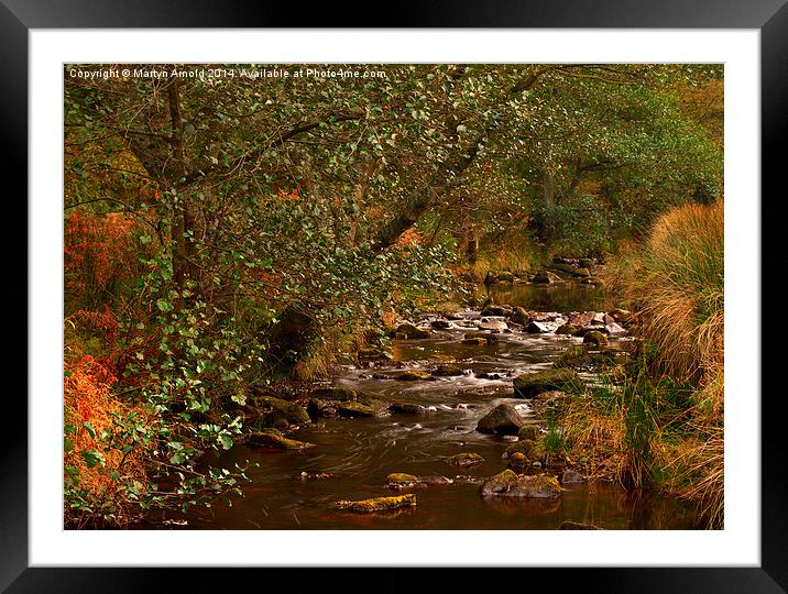 Yorkshire Moors Stream in Autumn Framed Mounted Print by Martyn Arnold