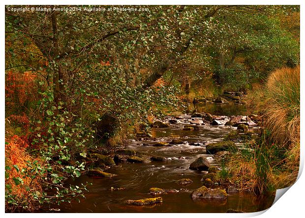 Yorkshire Moors Stream in Autumn Print by Martyn Arnold