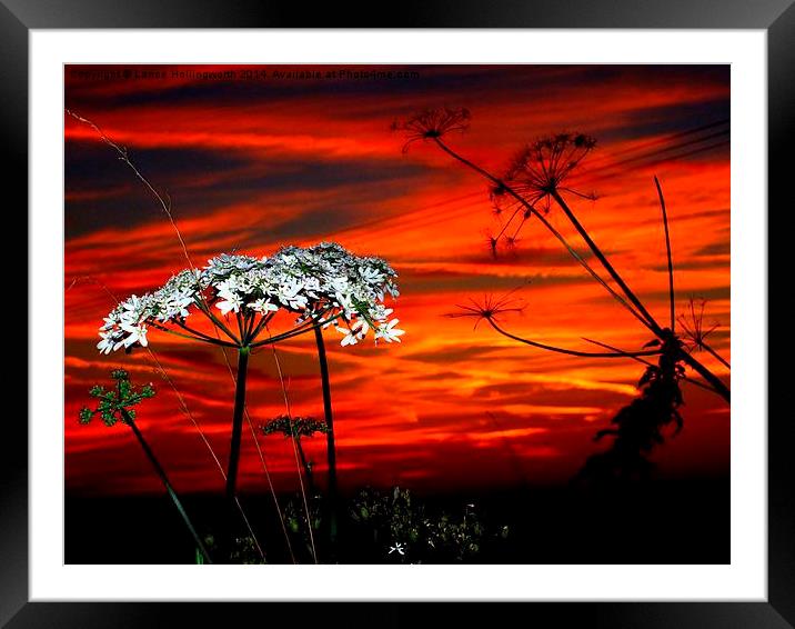Sunset #3  Framed Mounted Print by Lance Hollingworth