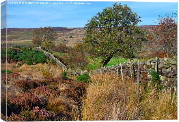  Yorkshire Moors Scenery in Autumn Canvas Print by Martyn Arnold