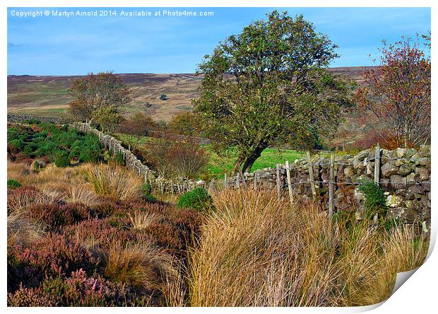  Yorkshire Moors Scenery in Autumn Print by Martyn Arnold