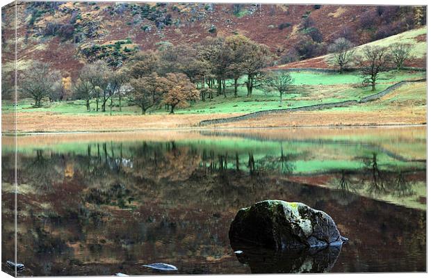  Reflections at Blea Tarn Canvas Print by Ian Duffield