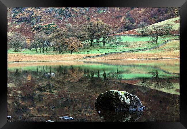  Reflections at Blea Tarn Framed Print by Ian Duffield