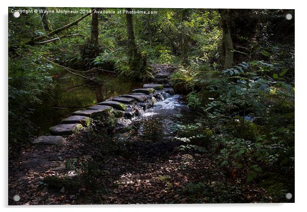  Stepping Stones at Rivelin Acrylic by Wayne Molyneux