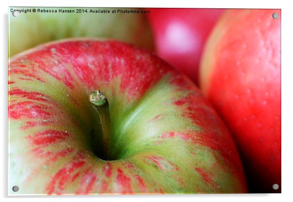  Honey Crisp Apples Acrylic by Rebecca Hansen