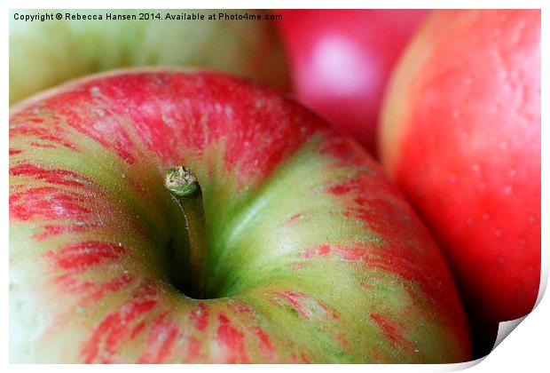  Honey Crisp Apples Print by Rebecca Hansen