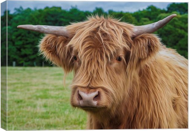  Highland Cow Canvas Print by Tanya Hall
