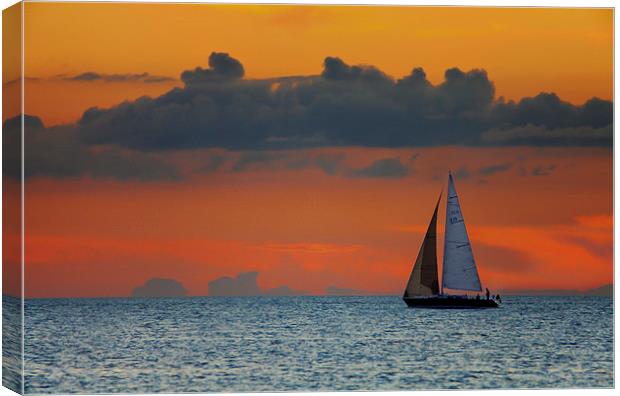   Sailing toward the Ocean Canvas Print by Reza Sina