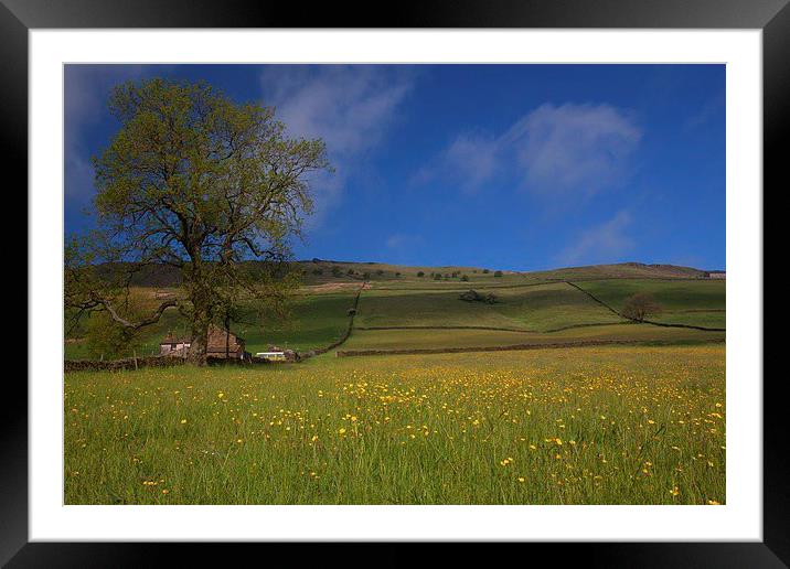  Early summer in the Peak district,  Framed Mounted Print by Stephen Prosser
