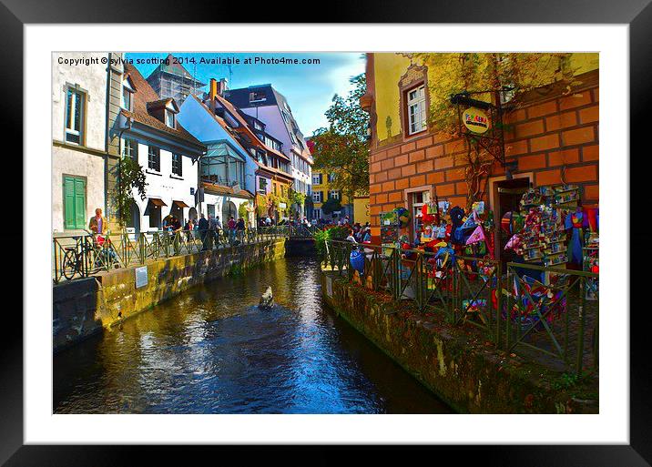  Town With A Difference  Framed Mounted Print by sylvia scotting