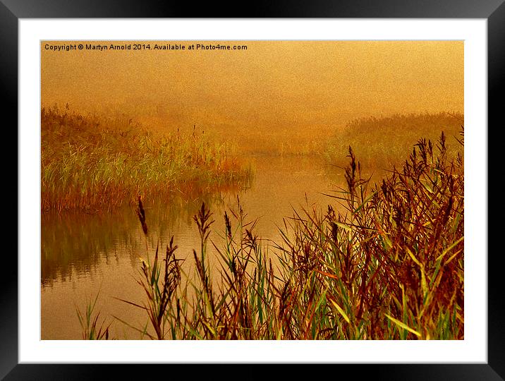  Misty Autumn Morning Framed Mounted Print by Martyn Arnold