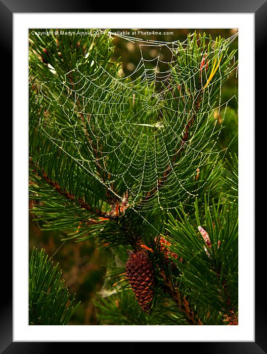  The Morning Dew Framed Mounted Print by Martyn Arnold