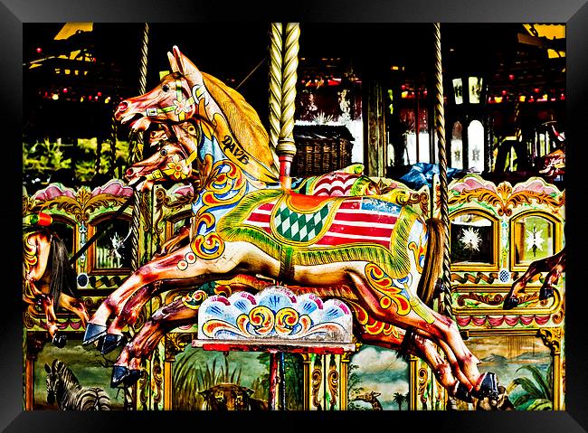  Dave The Carousel Horse Framed Print by Tanya Hall