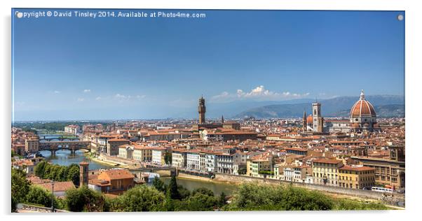  Florence Panorama Acrylic by David Tinsley