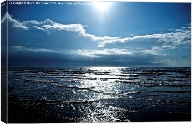  Two blues Canvas Print by steve akerman