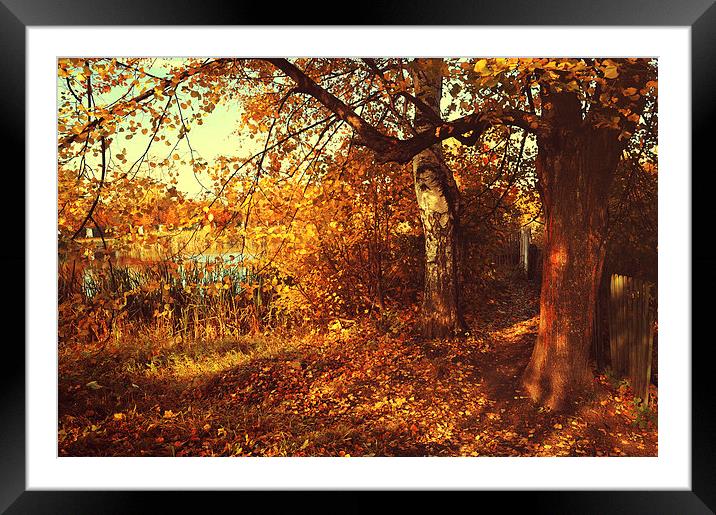  Autumnal Invitation   Framed Mounted Print by Jenny Rainbow