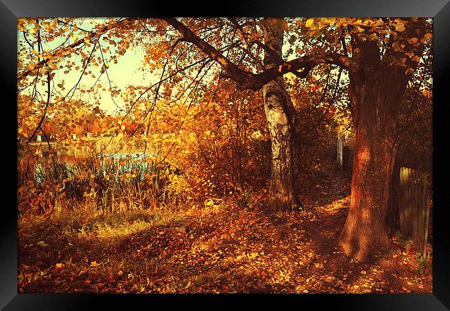  Autumnal Invitation   Framed Print by Jenny Rainbow