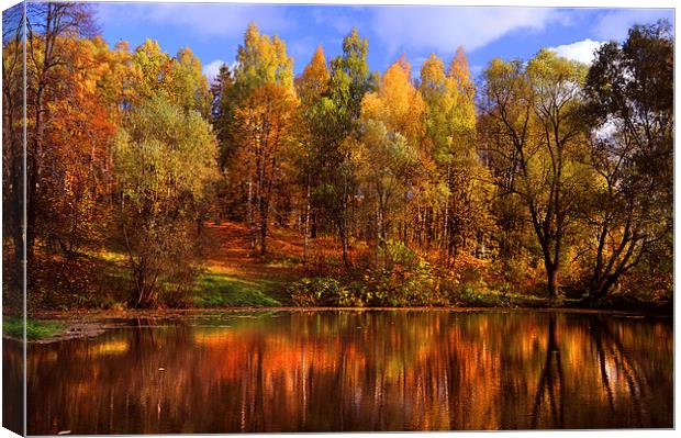  Autumn Reflections  Canvas Print by Jenny Rainbow