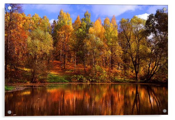  Autumn Reflections  Acrylic by Jenny Rainbow