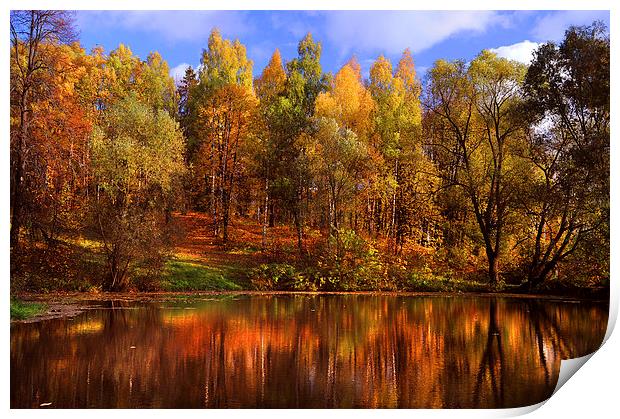  Autumn Reflections  Print by Jenny Rainbow