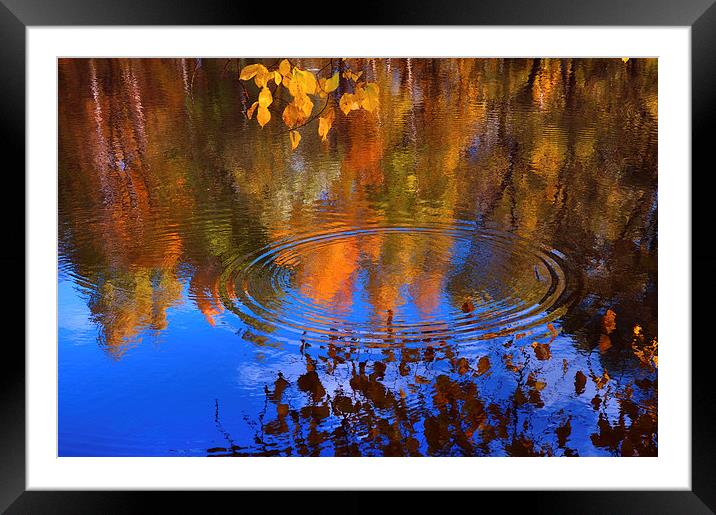  Autumnal Zen  Framed Mounted Print by Jenny Rainbow