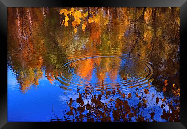  Autumnal Zen  Framed Print by Jenny Rainbow