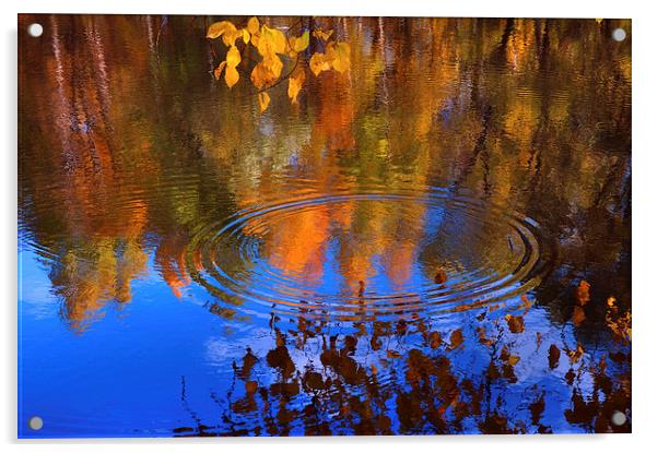  Autumnal Zen  Acrylic by Jenny Rainbow