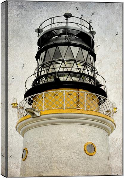 Sumburgh Head Lighthouse Canvas Print by Heather Newton