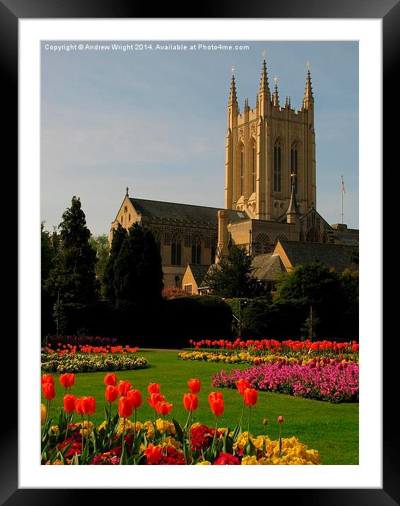  The Abbey Gardens, Bury St Edmunds Framed Mounted Print by Andrew Wright