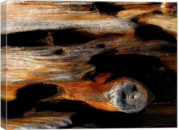 Weathered Beach Wood Canvas Print by Andrew Wright
