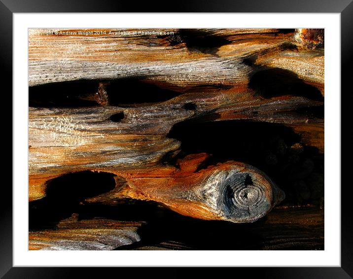 Weathered Beach Wood Framed Mounted Print by Andrew Wright