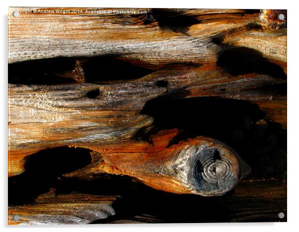 Weathered Beach Wood Acrylic by Andrew Wright
