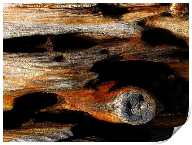 Weathered Beach Wood Print by Andrew Wright