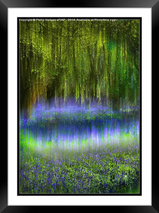  Ethereal Bluebells Framed Mounted Print by Philip Hodges aFIAP ,