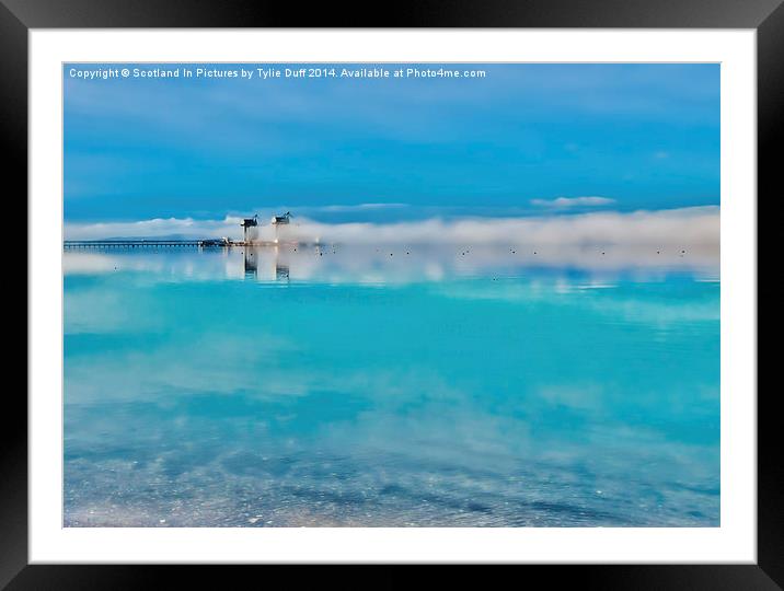  Reflections in the Mist Framed Mounted Print by Tylie Duff Photo Art