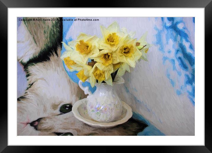  Daffodils Framed Mounted Print by Avril Harris