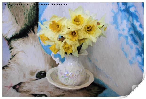  Daffodils Print by Avril Harris