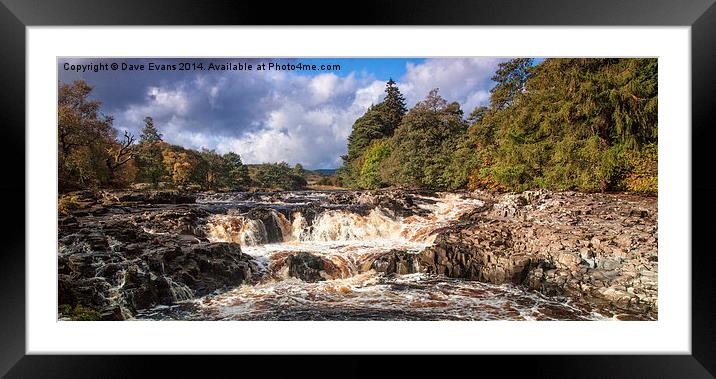  Salmon Leap Falls Framed Mounted Print by Dave Evans