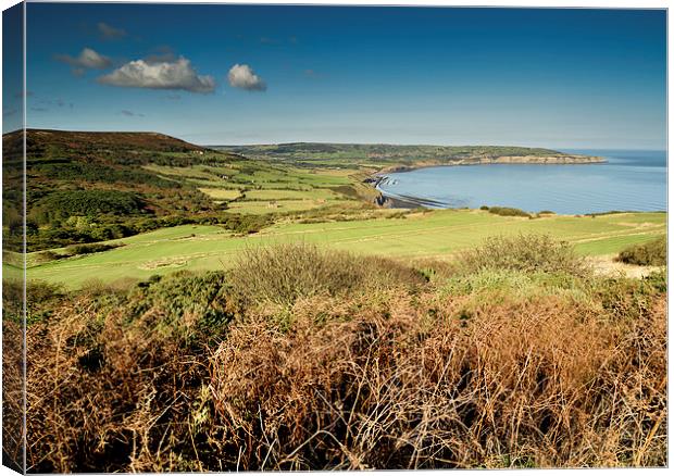   Robin Hoods Bay, North Yorkshire Panoramic Canvas Print by Dave Hudspeth Landscape Photography