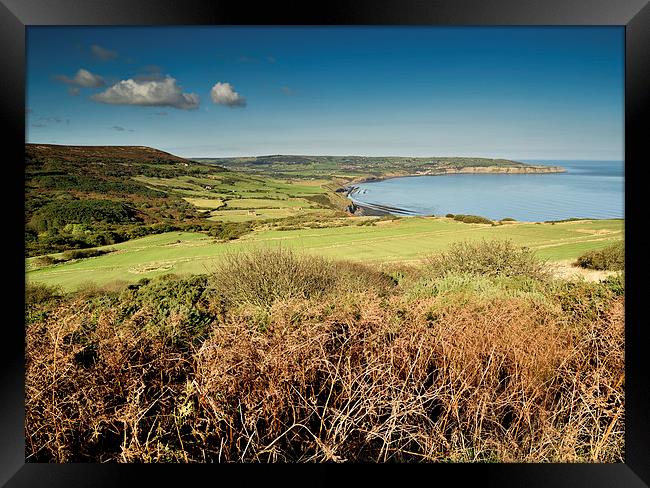   Robin Hoods Bay, North Yorkshire Panoramic Framed Print by Dave Hudspeth Landscape Photography