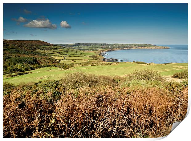   Robin Hoods Bay, North Yorkshire Panoramic Print by Dave Hudspeth Landscape Photography