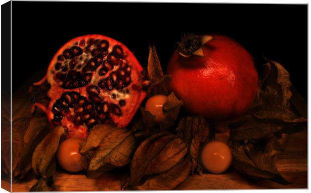 Cut Pomegranates and Physalis Canvas Print by Simon Gladwin