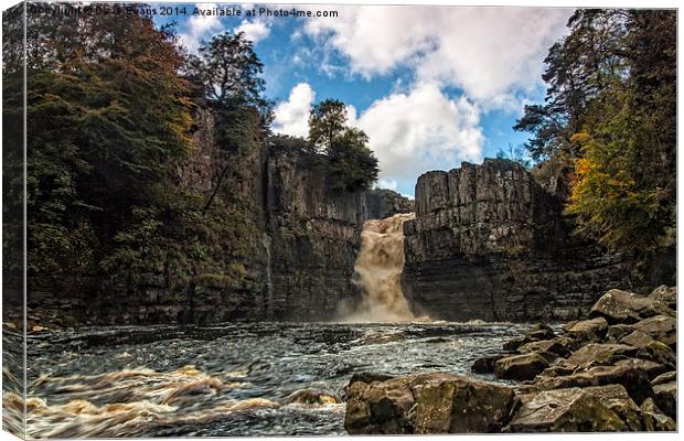  High Force Waterfall Canvas Print by Dave Evans
