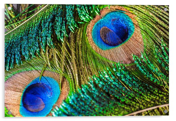 Peacock Eye And Sword Acrylic by Steve Purnell