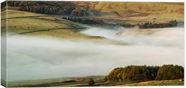  Autumn mist Canvas Print by Laura Kenny