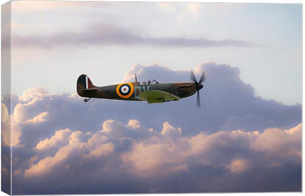Spitfire Mk1 N3200  Canvas Print by J Biggadike