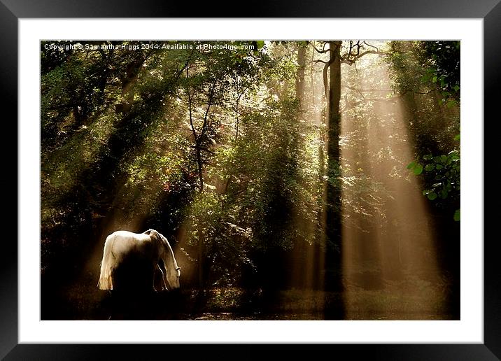  Horse In The Mist Framed Mounted Print by Samantha Higgs