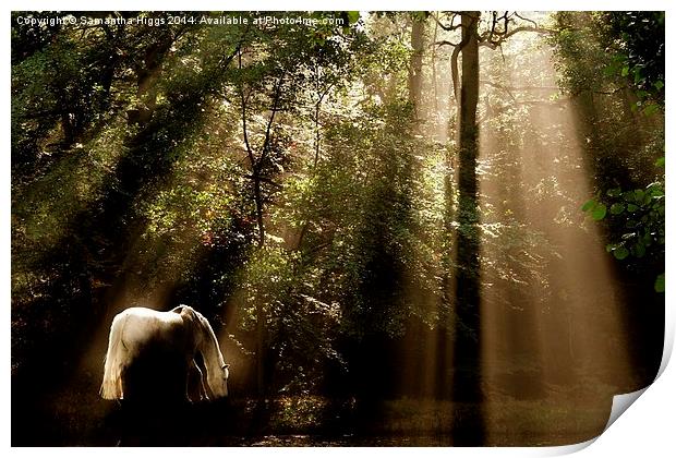  Horse In The Mist Print by Samantha Higgs