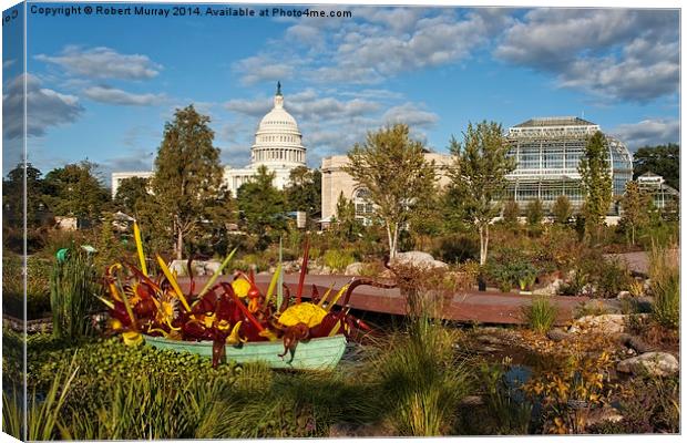 Washington Gardens and Capitol  Canvas Print by Robert Murray